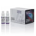 Thermo Fisher Scientific Alignflow Flow Cytometry Alignment Beads for UV Lasers, 6.0 μm