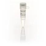 Thermo Fisher Scientific dUTP Solution (100 mM)