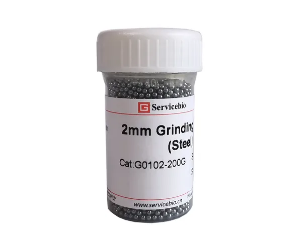 Servicebio Grinding Beads (Steel)