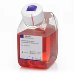 Thermo Fisher Scientific CTS Neurobasal-A Medium