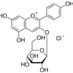 Merck CALLISTEPHIN CHLORIDE