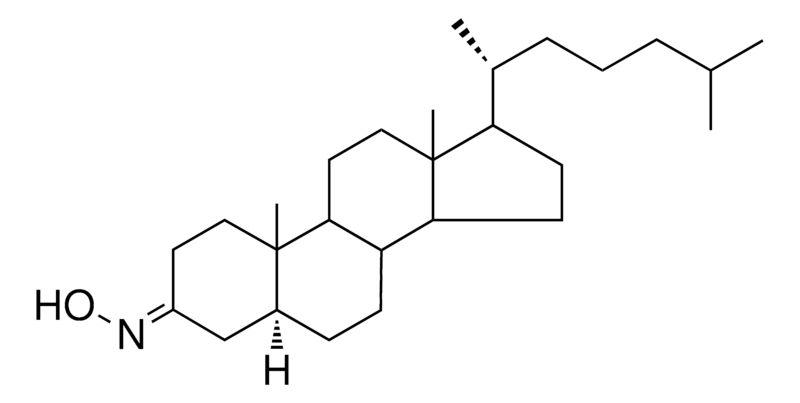 Merck 3-HYDROXIMINO-5-ALPHA-CHOLESTANE-