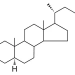 Merck 3-HYDROXIMINO-5-ALPHA-CHOLESTANE-