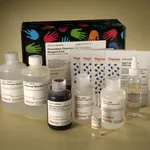 Thermo Fisher Scientific Pierce Peroxidase IHC Detection Kit