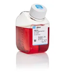 Thermo Fisher Scientific DMEM, no glucose