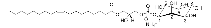 Merck 18:1 Lyso PI