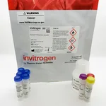 Thermo Fisher Scientific EnzChek Phosphatase Assay Kit