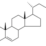 Merck 3-BETA-CHLOROCHOLEST-5-ENE - 1 MG
