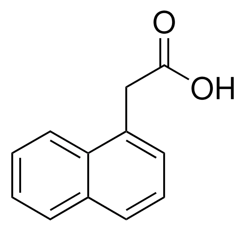 Merck 1-Naphthaleneacetic acid