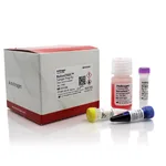 Thermo Fisher Scientific NativePAGE Sample Prep Kit