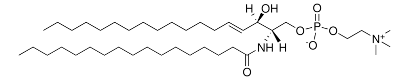 Merck 17:0 SM (d18:1/17:0)