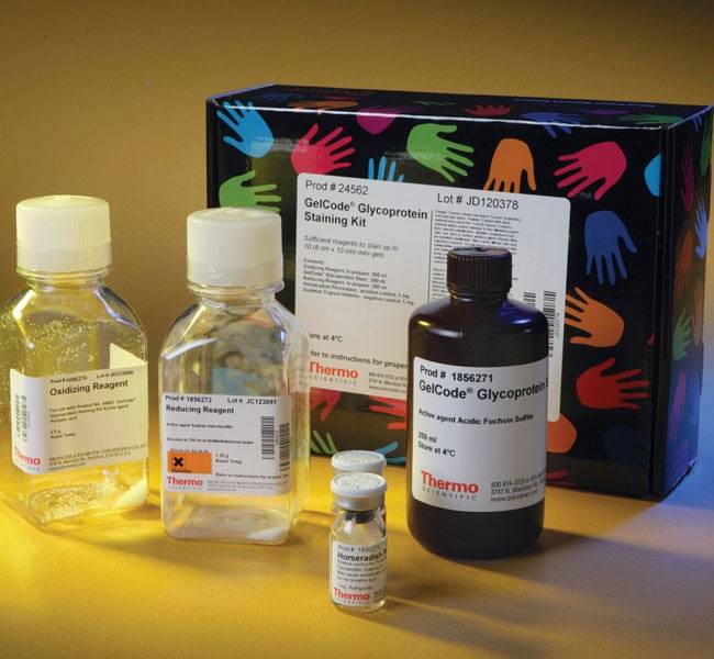 Thermo Fisher Scientific Pierce Glycoprotein Staining Kit
