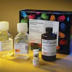 Thermo Fisher Scientific Pierce Glycoprotein Staining Kit