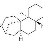 Merck Aphidicolin from Nigrospora sphaerica