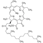 Merck CHLOROPHYLL A, UNITED STATES PHARMACOPEI