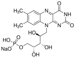Merck RIBOFLAVIN SODIUM PHOSPHATE