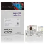 Thermo Fisher Scientific CellROX Green Flow Cytometry Assay Kit
