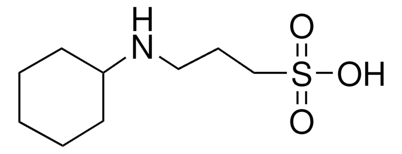 Merck CAPS