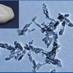 Merck HYDROXYAPATITE, AQUEOUS PASTE, < 50NM, &
