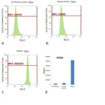 Thermo Fisher Scientific Goat anti-Rabbit IgG (H+L) Cross-Adsorbed Secondary Antibody, FITC