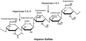 Merck HEPARINASE I FROM FLAVOBACTERIUM&