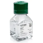 Thermo Fisher Scientific KCl (2 M), RNase-free