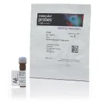 Thermo Fisher Scientific Vybrant DyeCycle Ruby Stain, 100 reactions
