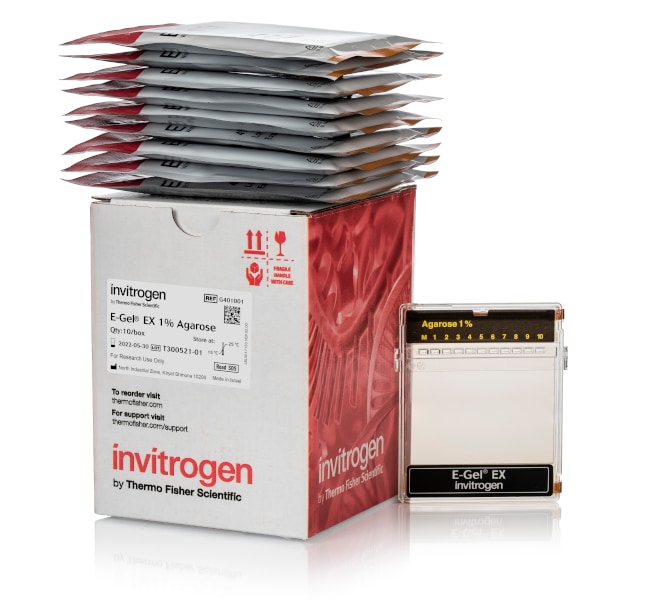 Thermo Fisher Scientific E-Gel EX Agarose Gels, 1%, 10 Gels/Pk.
