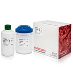 Thermo Fisher Scientific RNaseZap RNase Decontamination Wipes, 100 Sheets