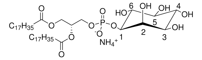 Merck 18:0 PI