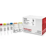 Thermo Fisher Scientific TaqMan Fast Advanced Cells-to-CT Kit, 40 reactions