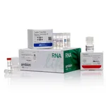 Thermo Fisher Scientific TaqMan MicroRNA Cells-to-CT Kit