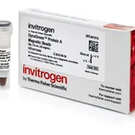 Thermo Fisher Scientific DynaGreen Protein A Magnetic Beads, 0.5 mL, 20 rxns