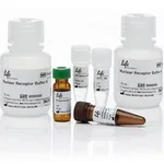 Thermo Fisher Scientific LanthaScreen TR-FRET ER beta Competitive Binding Kit