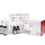 Thermo Fisher Scientific mirVana PARIS RNA and Native Protein Purification Kit