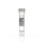 Thermo Fisher Scientific Silencer Select Pre-Designed siRNA, 5 nmol