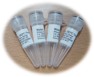 솔바이오팜 Water, DEPC Treated