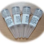 솔바이오팜 Water, DEPC Treated