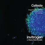 Thermo Fisher Scientific Celleste 3D Visualization Module, single-user license