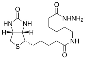 Merck (+)-BIOTINAMIDOHEXANOIC ACID HYDRAZIDE