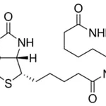 Merck (+)-BIOTINAMIDOHEXANOIC ACID HYDRAZIDE