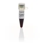 Thermo Fisher Scientific Orange DNA Loading Dye (6X)