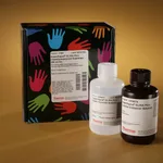 Thermo Fisher Scientific SuperSignal ELISA Pico Chemiluminescent Substrate, 250 mL Kit