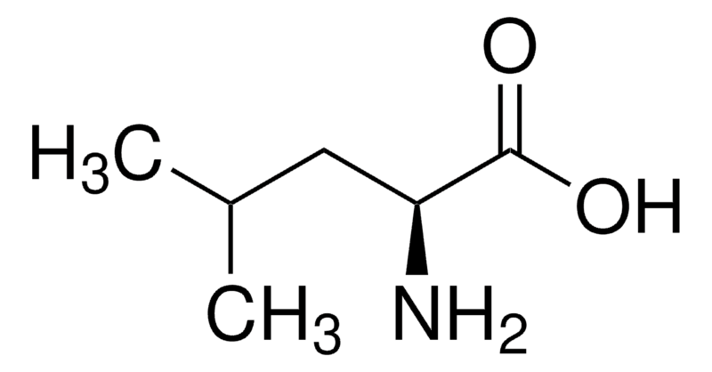 Merck L-Leucine