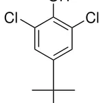 Merck 2,6-DICHLORO-4-(TERT.-PENTYL)-PHEN-1G