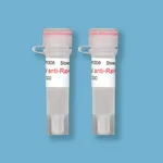 Kindle Biosciences DIGITAL ANTI-RAT-HRP
