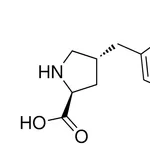 Merck (R)-gamma-(2-fluoro-benzyl)-L-proline hydrochloride