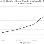 Merck RABBIT ANTI-STREPTAVIDIN