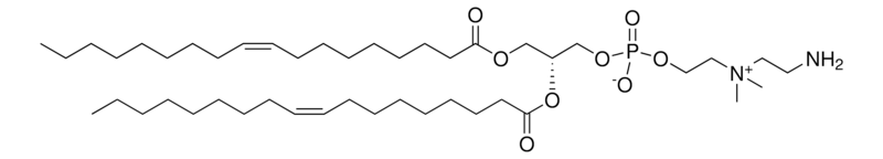 Merck 18:1 aminoethyl PC