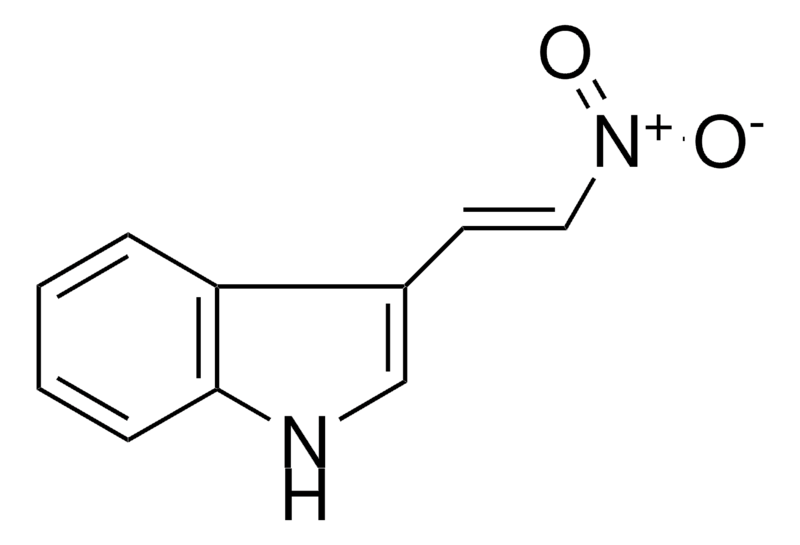 Merck 3-(2-NITROVINYL)INDOLE-
